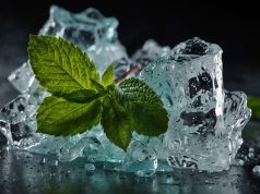 «Descubre cómo congelar menta de manera efectiva» "Descubre cómo congelar menta de manera efectiva"